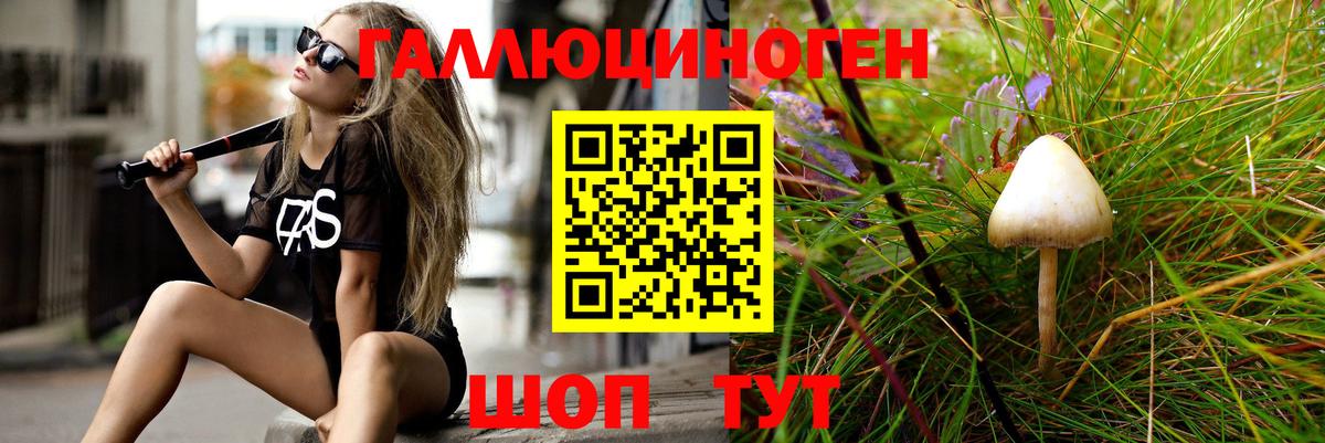 Псилоцибиновые грибы GOLDEN TEACHER Вичуга